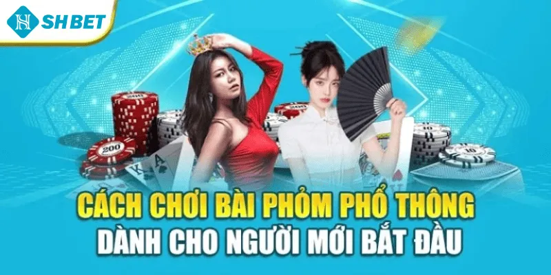 Cách chơi bài phỏm phổ thông dành cho người mới bắt đầu