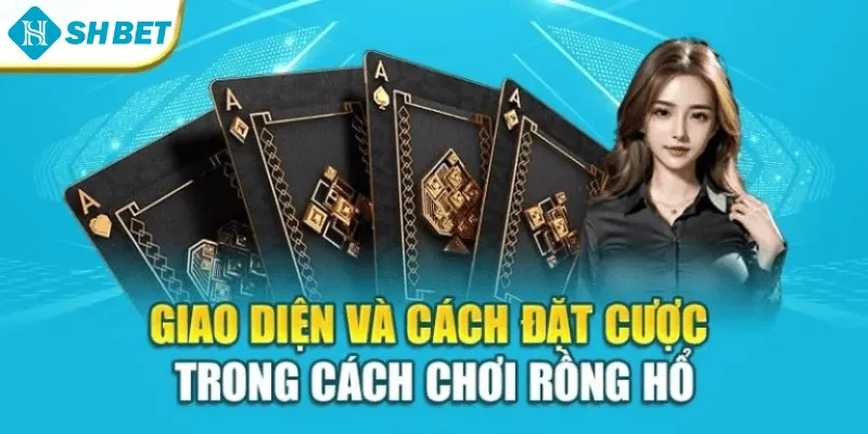 Giao diện và cách đặt cược trong cách chơi rồng hổ